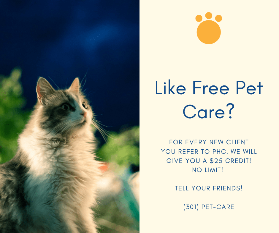 Free Pet Care
