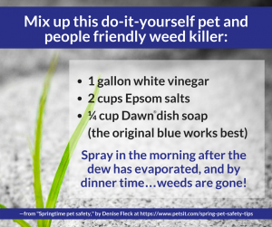weed killer recipe