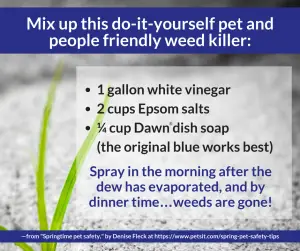 weed killer recipe