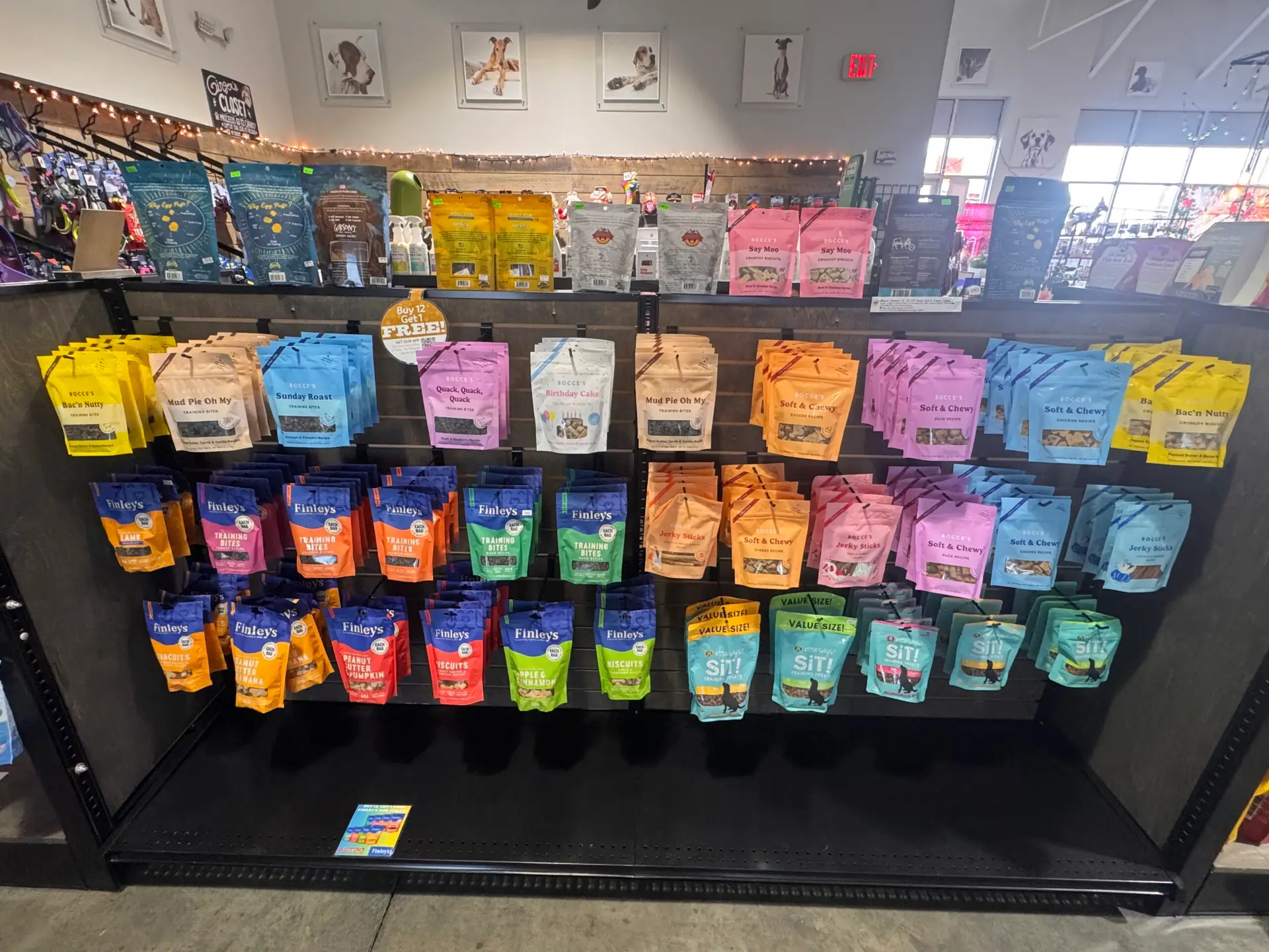 dog treats